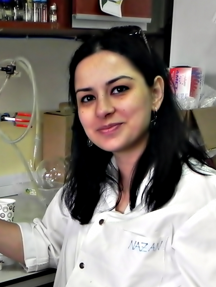 NAZAN ÇÖMLEKCİOĞLU